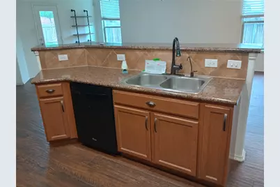 1029 Water Hyssop, Leander, TX 78641 - Photo 5