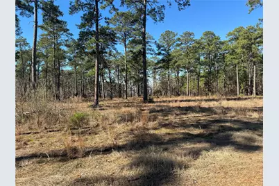 Tbd 024 Private Road 6028, Brookeland, TX 75931 - Photo 7