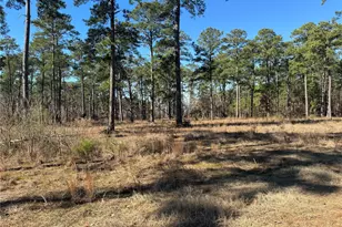 Tbd 024 Private Road 6028, Brookeland, TX 75931 - Photo 7