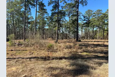 Tbd 024 Private Road 6028, Brookeland, TX 75931 - Photo 3