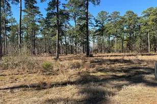 Tbd 024 Private Road 6028, Brookeland, TX 75931 - Photo 5