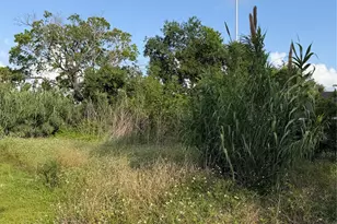 2010 Brackenridge St Lot A, Houston, TX 77026 - Photo 1