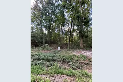 0 County Road 3812, Cleveland, TX 77327 - Photo 3