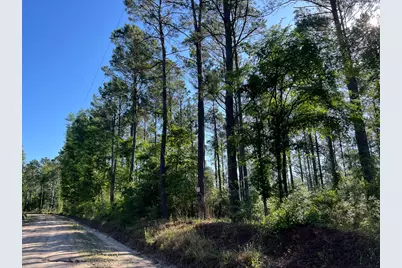 T-8 Fountain Creek Road, Groveton, TX 75845 - Photo 7