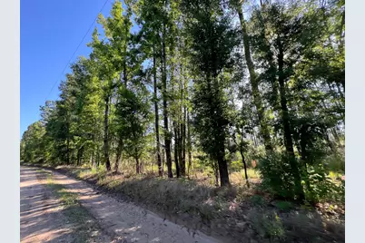 T-8 Fountain Creek Road, Groveton, TX 75845 - Photo 9
