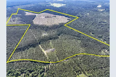 T-8 Fountain Creek Road, Groveton, TX 75845 - Photo 1