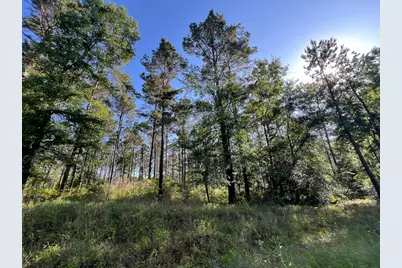 T-8 Fountain Creek Road, Groveton, TX 75845 - Photo 3