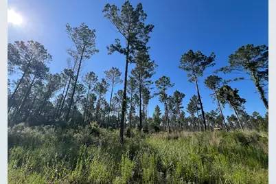 T-8 Fountain Creek Road, Groveton, TX 75845 - Photo 21
