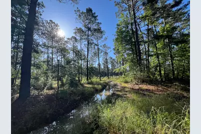 T-8 Fountain Creek Road, Groveton, TX 75845 - Photo 13