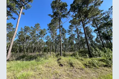 T-8 Fountain Creek Road, Groveton, TX 75845 - Photo 35