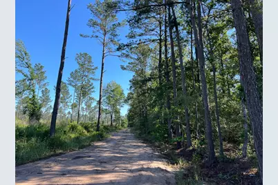 T-8 Fountain Creek Road, Groveton, TX 75845 - Photo 29