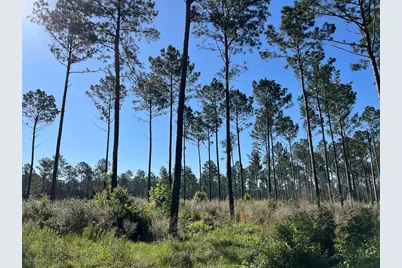 T-8 Fountain Creek Road, Groveton, TX 75845 - Photo 19