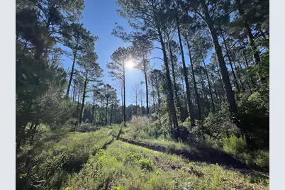 T-8 Fountain Creek Road, Groveton, TX 75845 - Photo 5