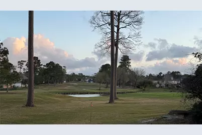 18821 Aquatic Drive, Houston, TX 77346 - Photo 21