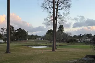 18821 Aquatic Dr, Houston, TX 77346 - Photo 21