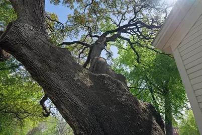 351 E Colorado Street, La Grange, TX 78945 - Photo 45