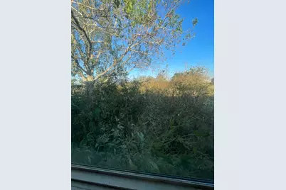 20127 W Paloma Loop, Rosharon, TX 77583 - Photo 5