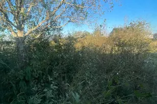 20127 W Paloma Loop, Rosharon, TX 77583 - Photo 5