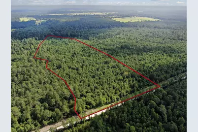 0 Scales Ranch Road, Huntsville, TX 77320 - Photo 3