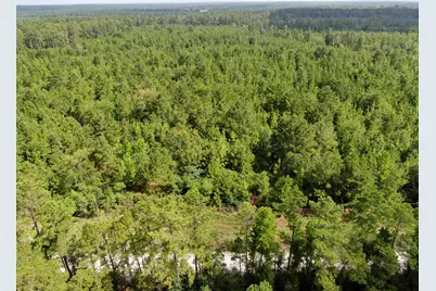 0 Scales Ranch Road, Huntsville, TX 77320 - Photo 15