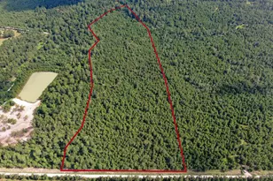 0 Scales Ranch Rd, Huntsville, TX 77320 - Photo 1