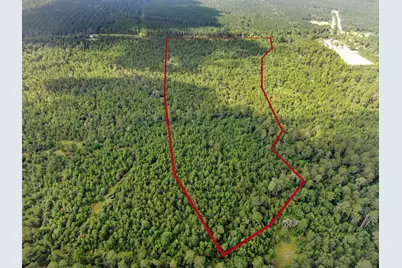 0 Scales Ranch Road, Huntsville, TX 77320 - Photo 7