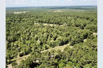 8.269+/- Acs Fm 92 S, Woodville, TX 75979 - Photo 11