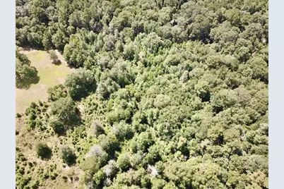 8.269+/- Acs Fm 92 S, Woodville, TX 75979 - Photo 3