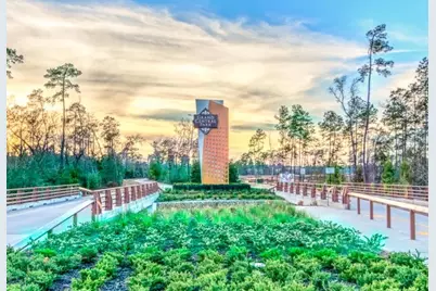 311 Silver Sage Street, Conroe, TX 77304 - Photo 21