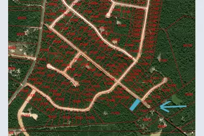 104 Coyote Run, New Waverly, TX 77358 - Photo 3