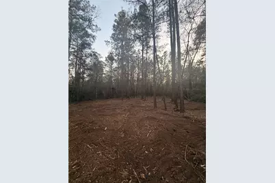 104 Coyote Run, New Waverly, TX 77358 - Photo 7