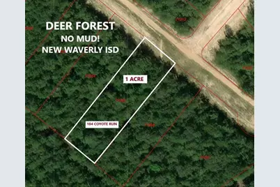 104 Coyote Run, New Waverly, TX 77358 - Photo 3