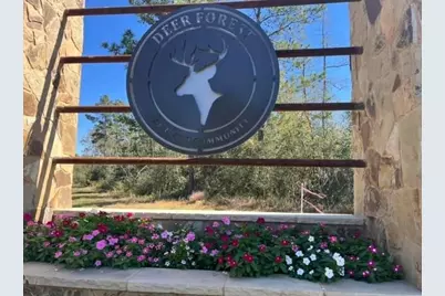 104 Coyote Run, New Waverly, TX 77358 - Photo 5