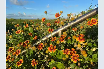 2010 Strand St #302, Galveston, TX 77550 - Photo 13