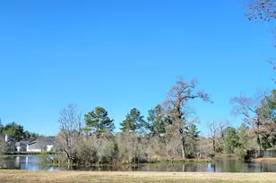 11827 Water Oak Dr, Magnolia, TX 77354 - Photo 47