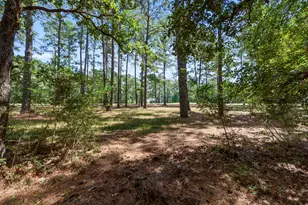 37432 Clubhouse Ln, Montgomery, TX 77355 - Photo 1