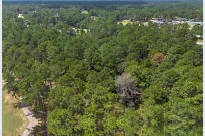 37432 Clubhouse Lane, Montgomery, TX 77355 - Photo 7