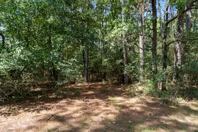 37432 Clubhouse Lane, Montgomery, TX 77355 - Photo 19