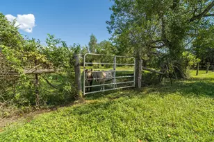 2150 Hewitt St, League City, TX 77573 - Photo 41