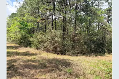 4341 & 4365 North Oaks, Navasota, TX 77868 - Photo 1