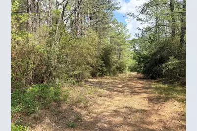 4341 & 4365 North Oaks, Navasota, TX 77868 - Photo 5