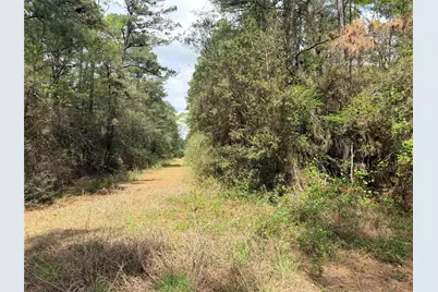 4341 & 4365 North Oaks, Navasota, TX 77868 - Photo 3