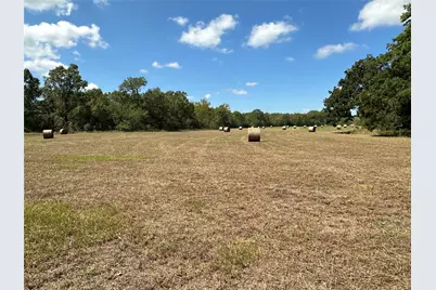 0 Fm 1774, Plantersville, TX 77363 - Photo 1