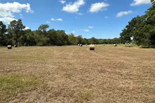 0 Fm 1774, Plantersville, TX 77363 - Photo 1