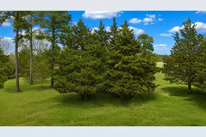 24784 Bailey Grove Road, Montgomery, TX 77356 - Photo 5
