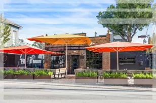 1531 Marshall St, Houston, TX 77006 - Photo 19