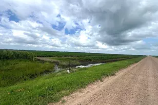 0 Cr 254, East Bernard, TX 77435 - Photo 1