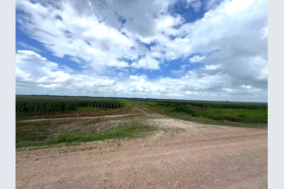 0 Cr 254, East Bernard, TX 77435 - Photo 3