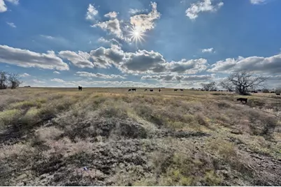 6921 Schulz Lane, Bleiblerville, TX 78931 - Photo 31