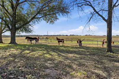 6921 Schulz Lane, Bleiblerville, TX 78931 - Photo 1